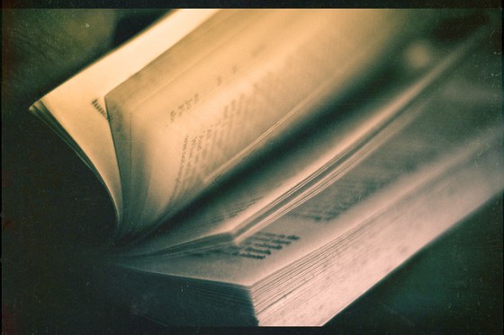 Payer les auteurs à la page